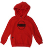 Bluza dziecięca z kapturem Puma DCT Hoodie [849258 11]